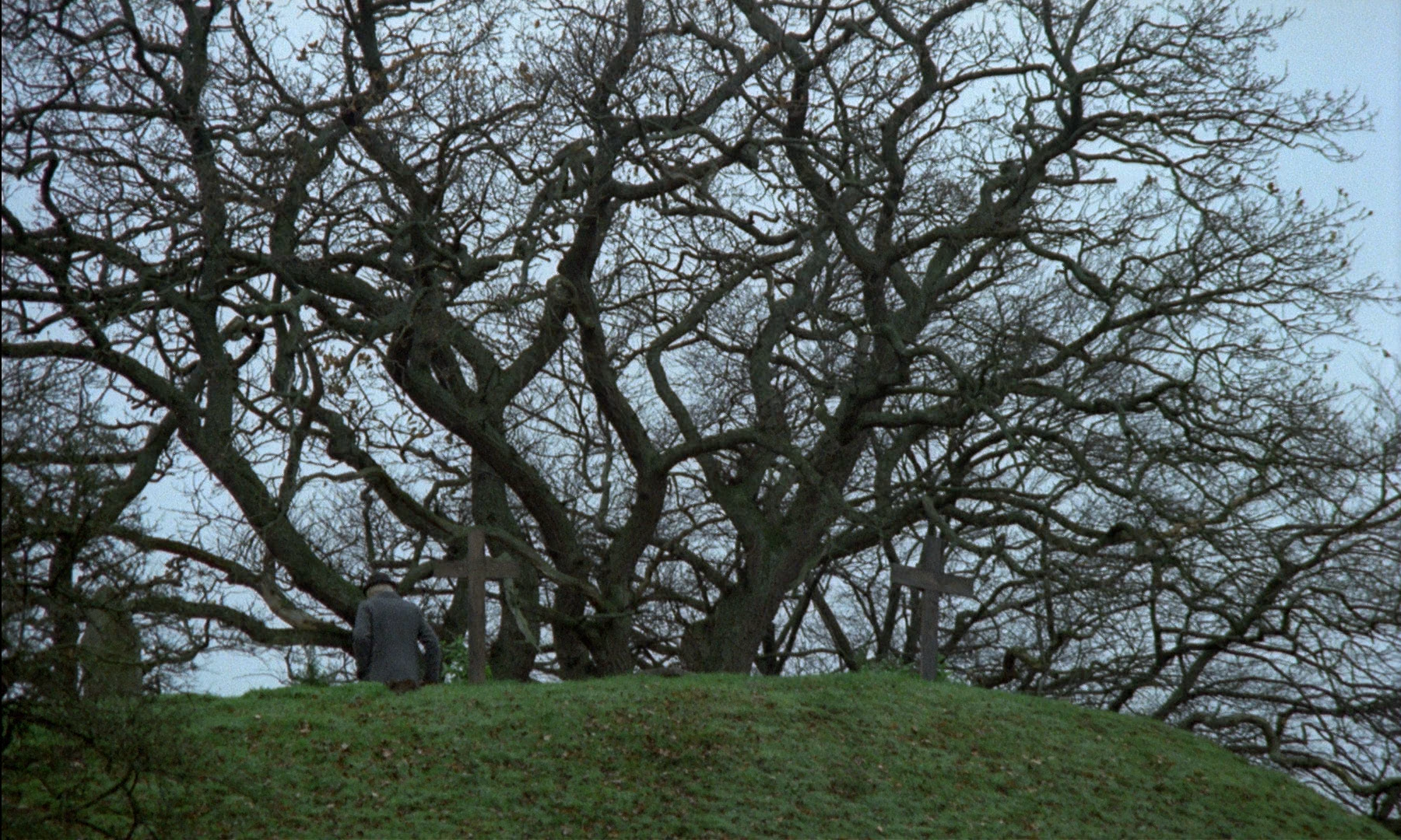 新大陆剧照的剧照