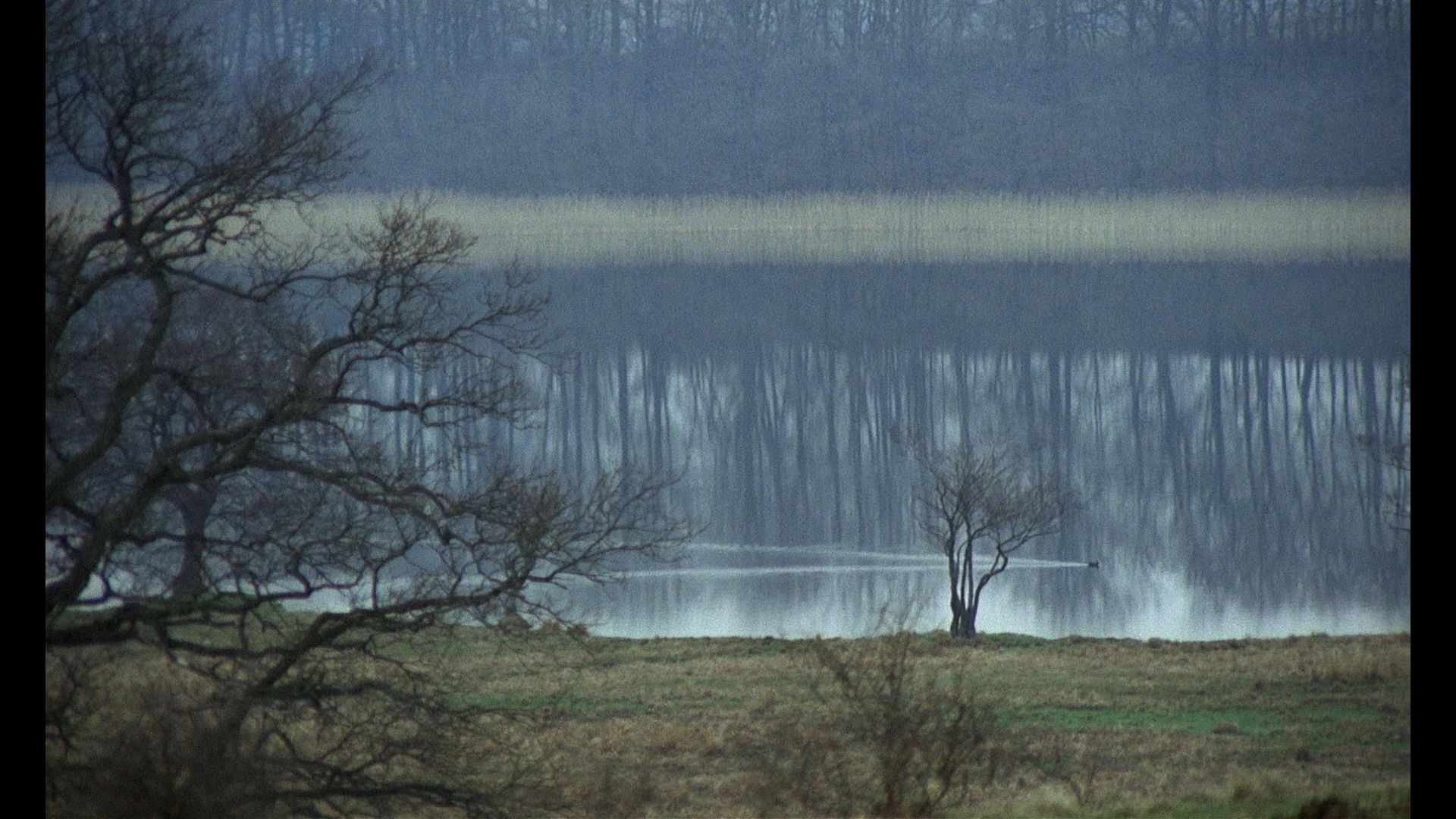 新大陆剧照的剧照