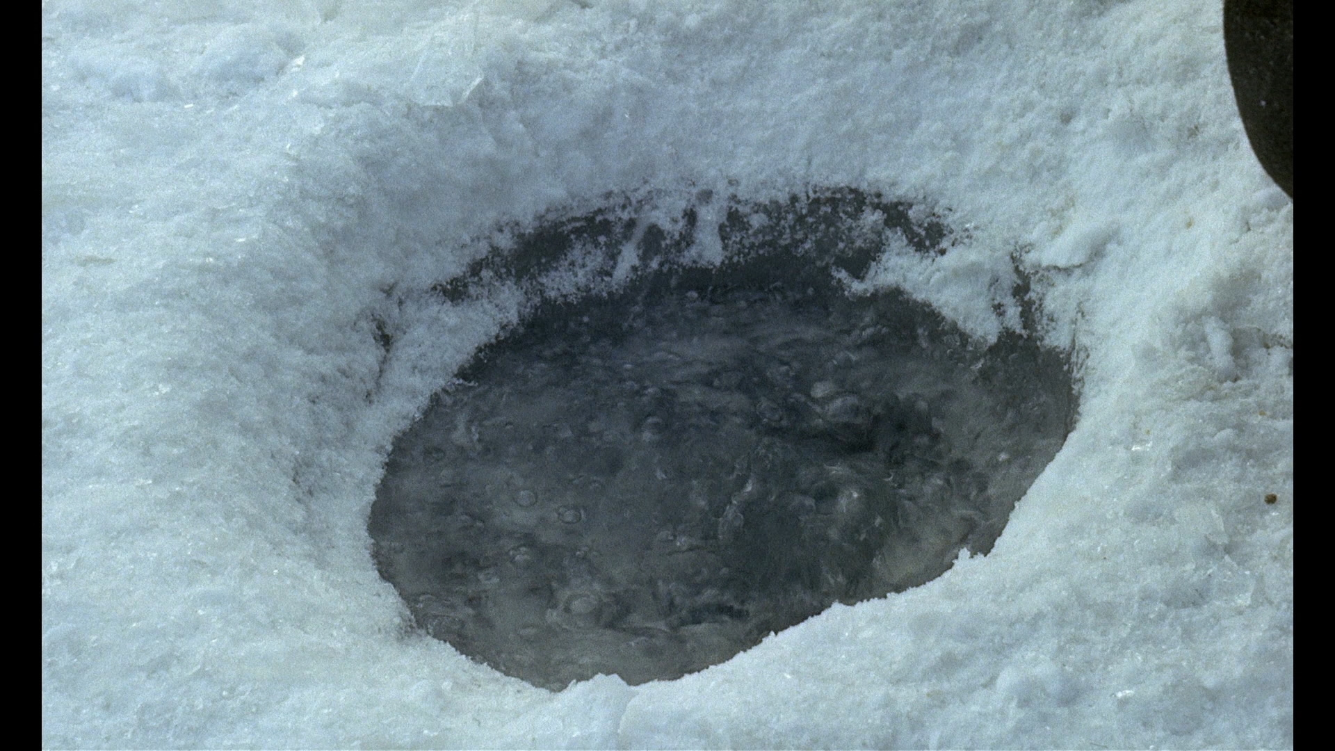 新大陆剧照的剧照