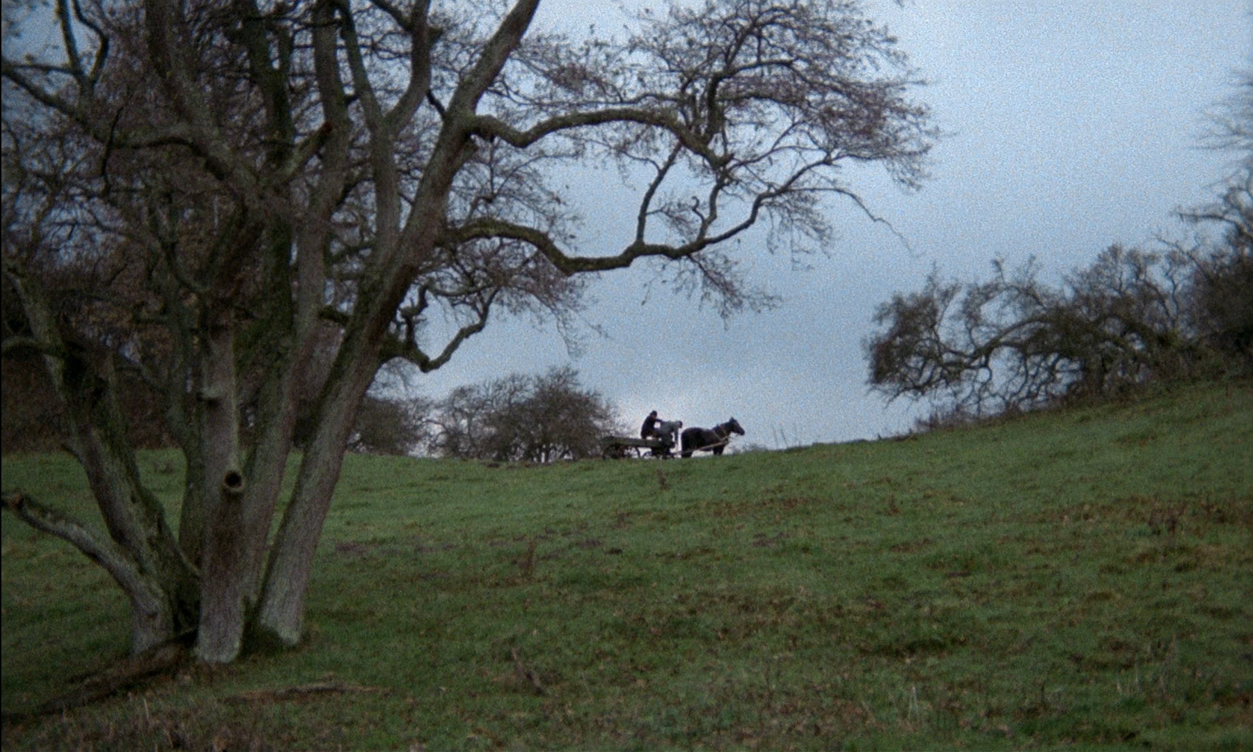 新大陆剧照的剧照