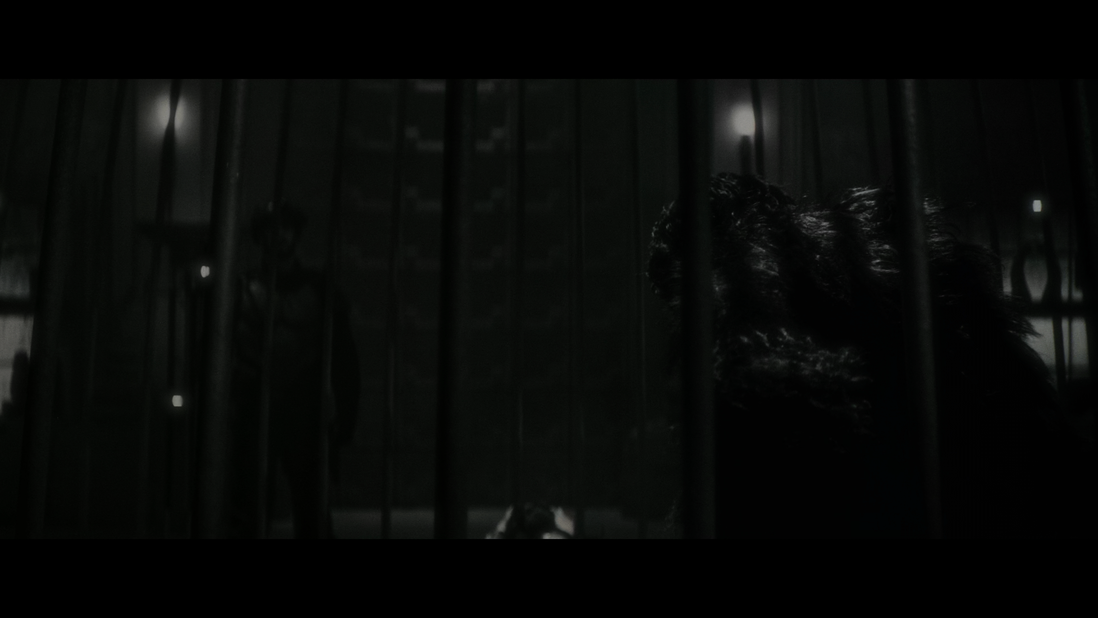 暗夜狼人剧照的剧照