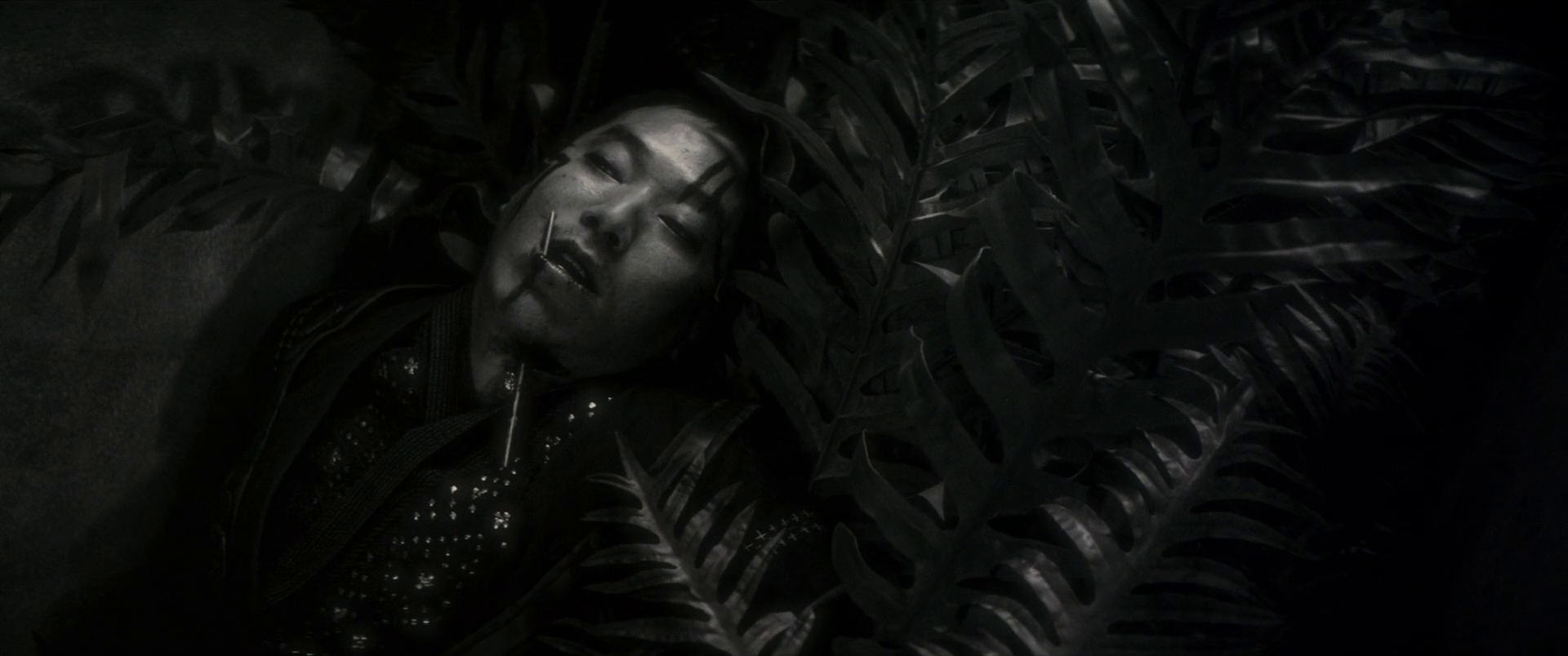 暗夜狼人剧照的剧照