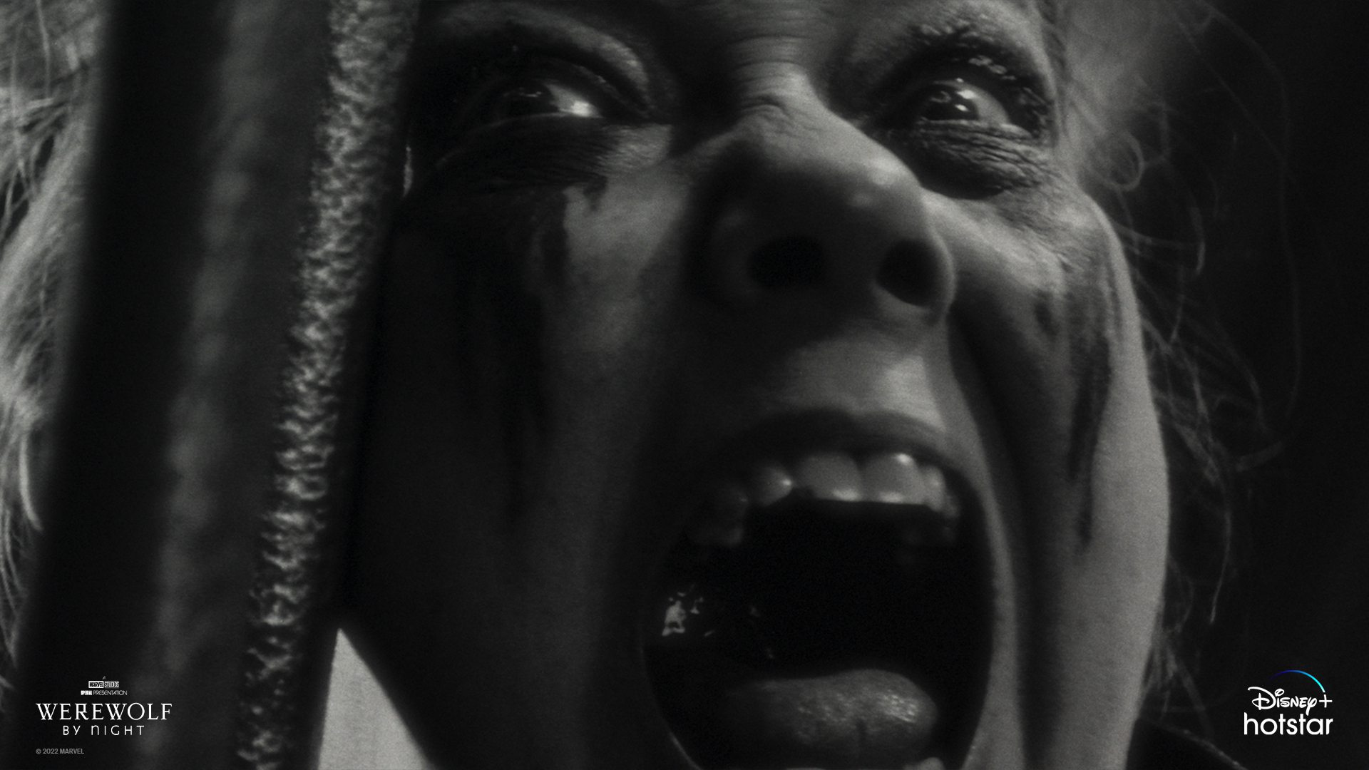 暗夜狼人剧照的剧照