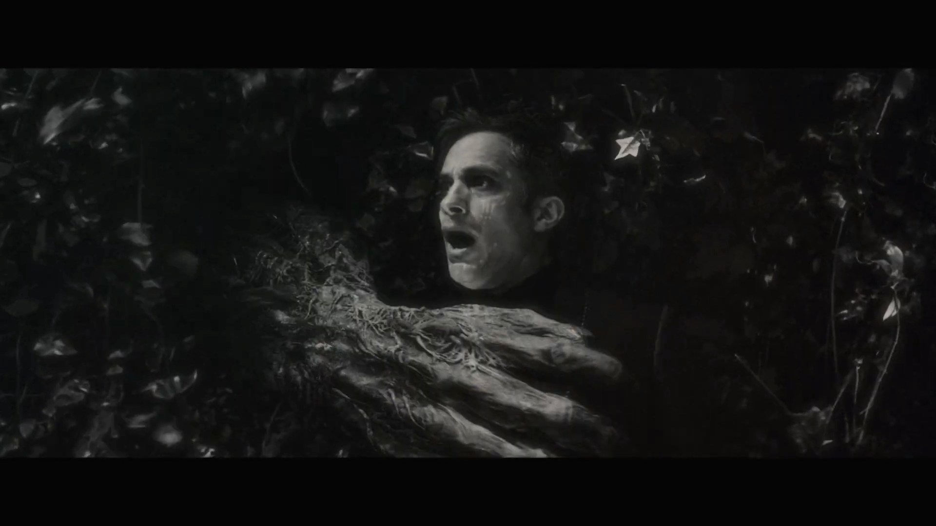 暗夜狼人剧照的剧照