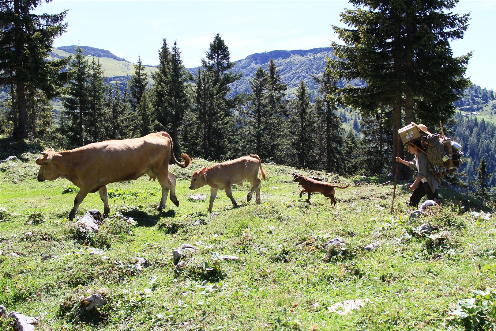 隐墙剧照的剧照