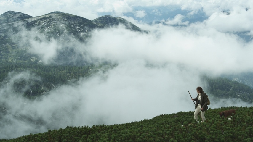 隐墙剧照的剧照