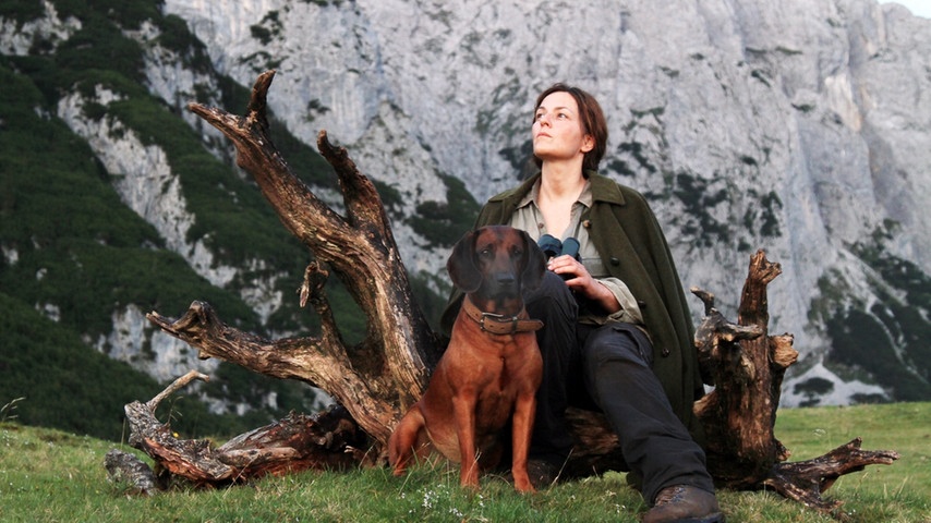 隐墙剧照的剧照