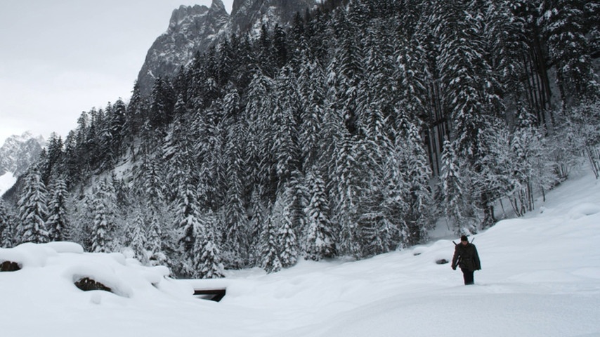隐墙剧照的剧照