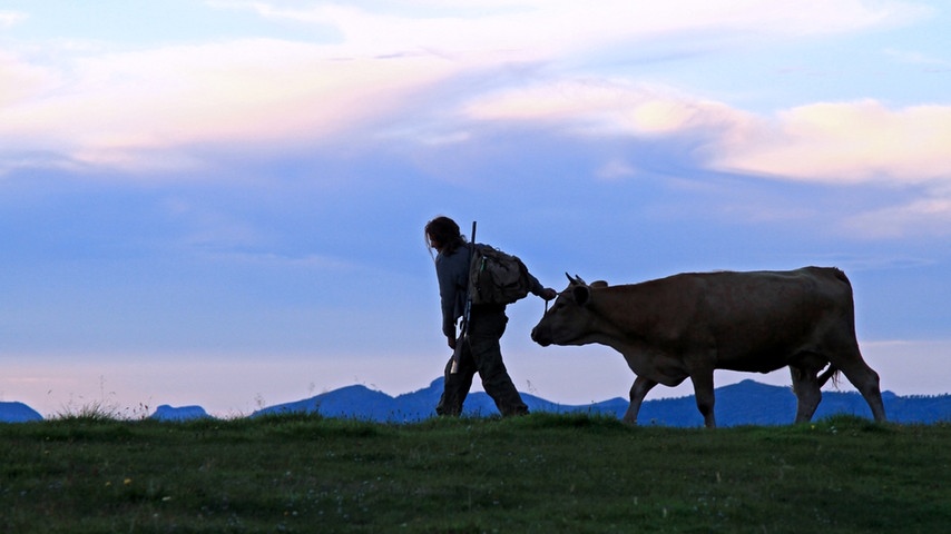 隐墙剧照的剧照