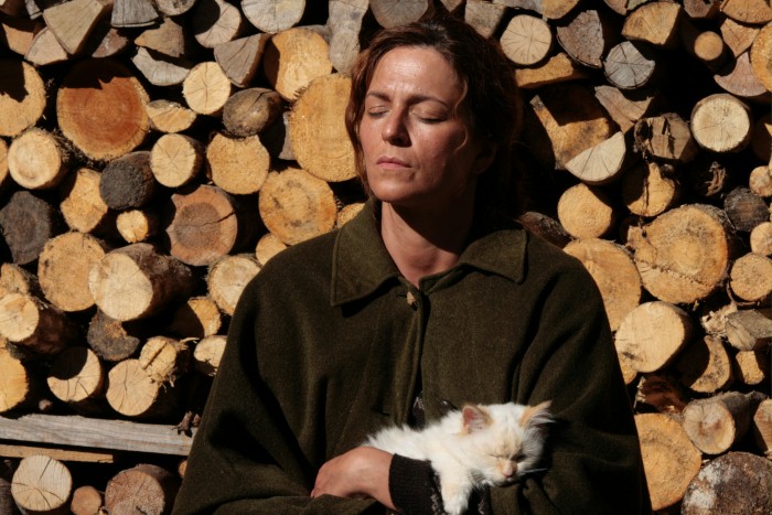 隐墙剧照的剧照