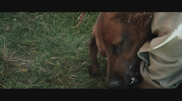 隐墙剧照的剧照