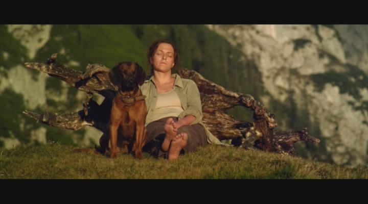 隐墙剧照的剧照