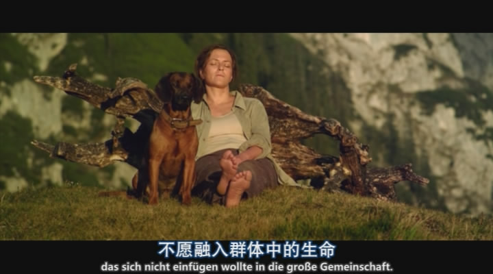 隐墙剧照的剧照