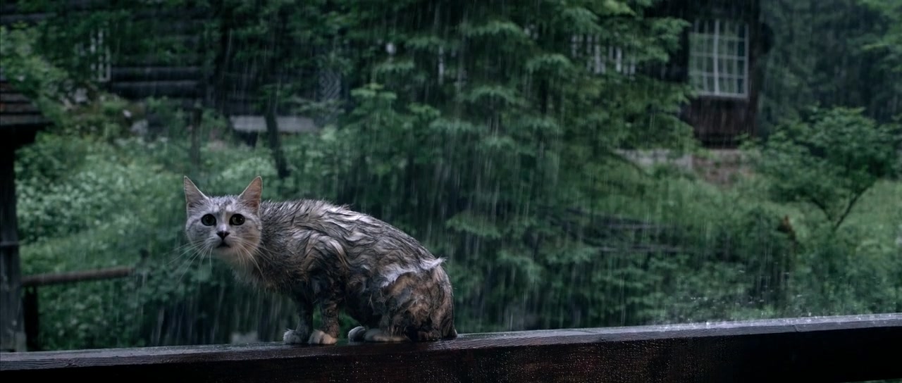 隐墙剧照的剧照