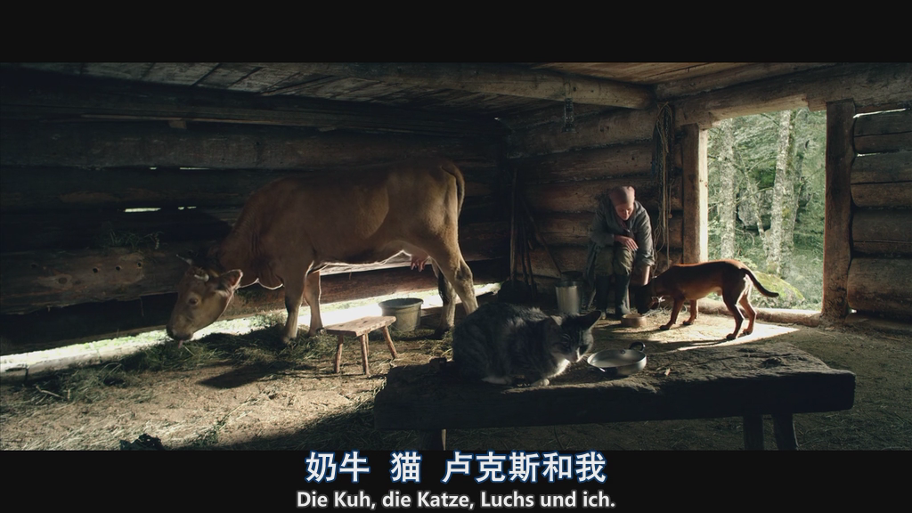 隐墙剧照的剧照