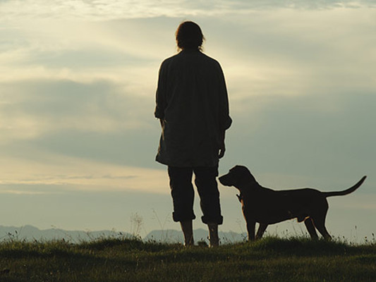 隐墙剧照的剧照