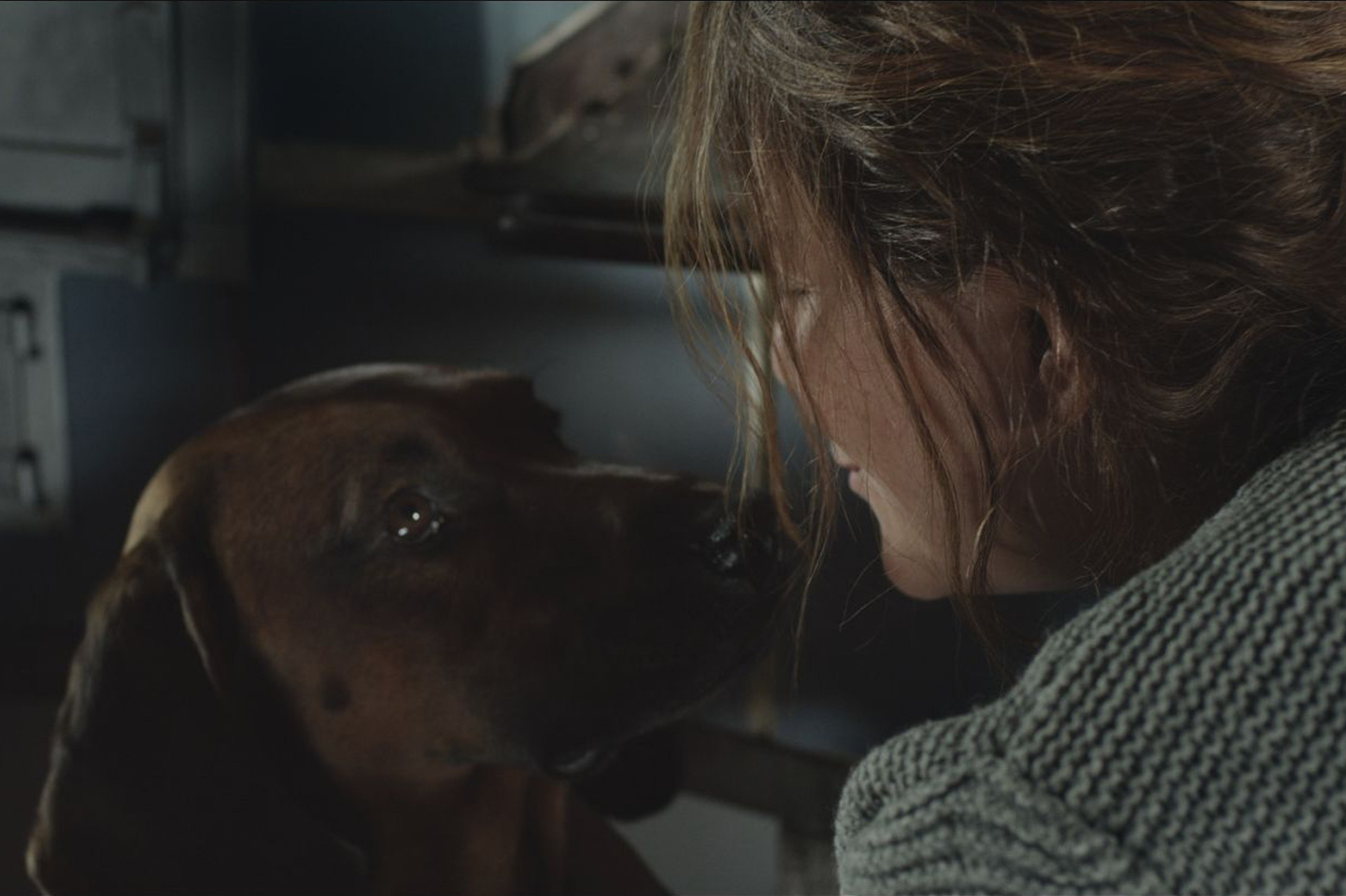 隐墙剧照的剧照