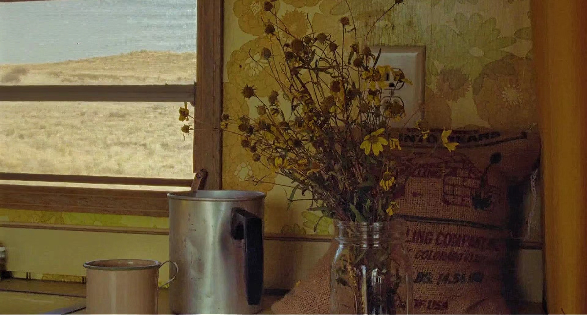 小情歌剧照的剧照