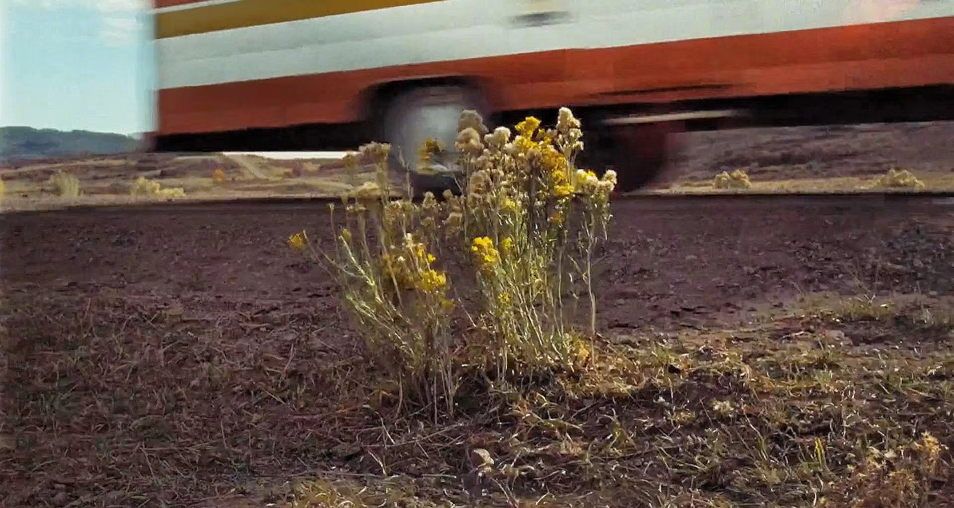 小情歌剧照的剧照