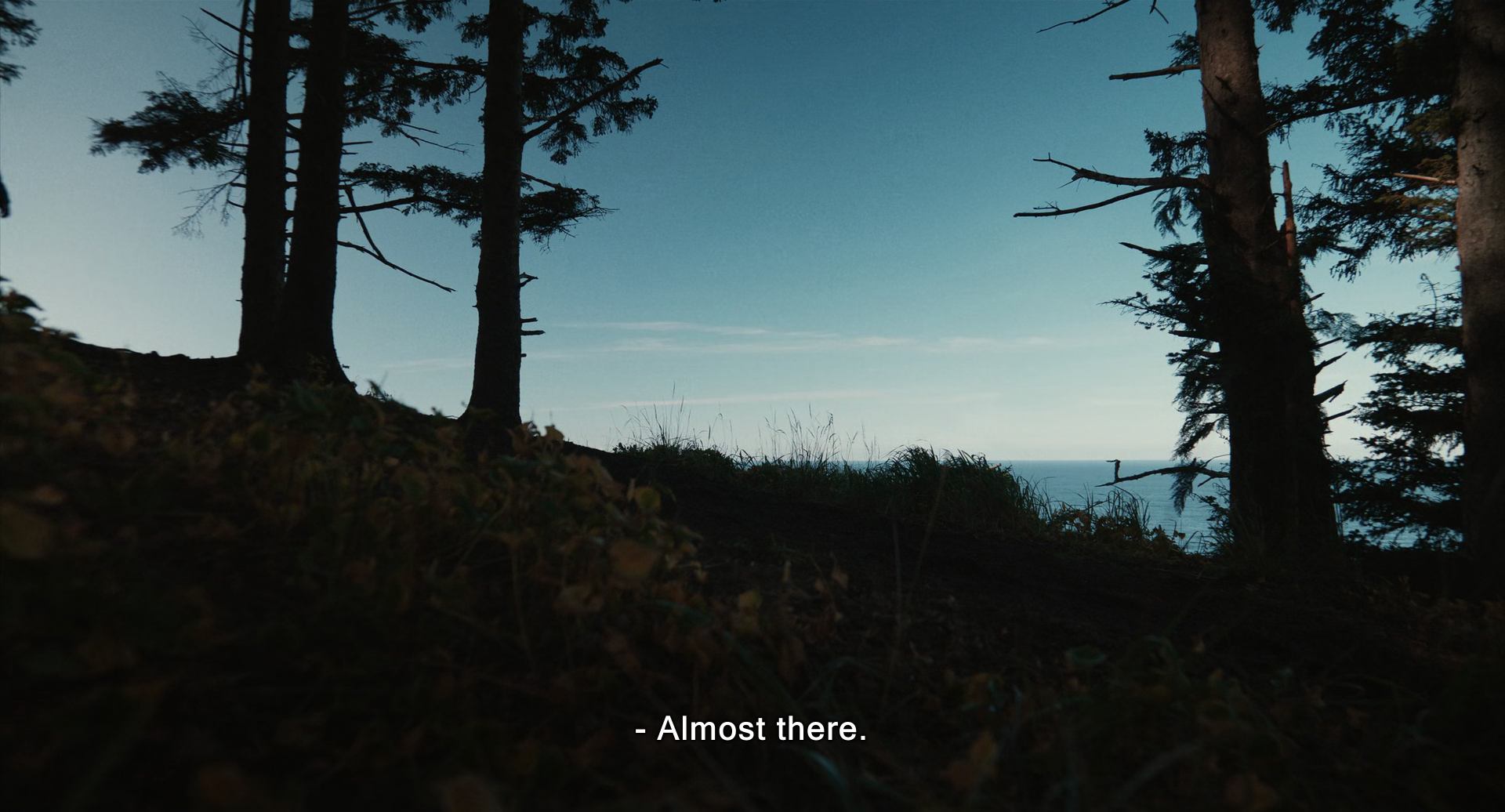 爱人剧照的剧照