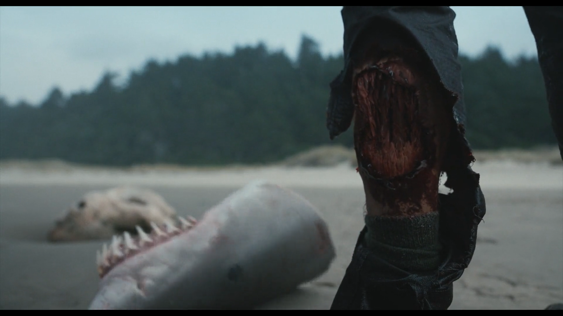 爱人剧照的剧照