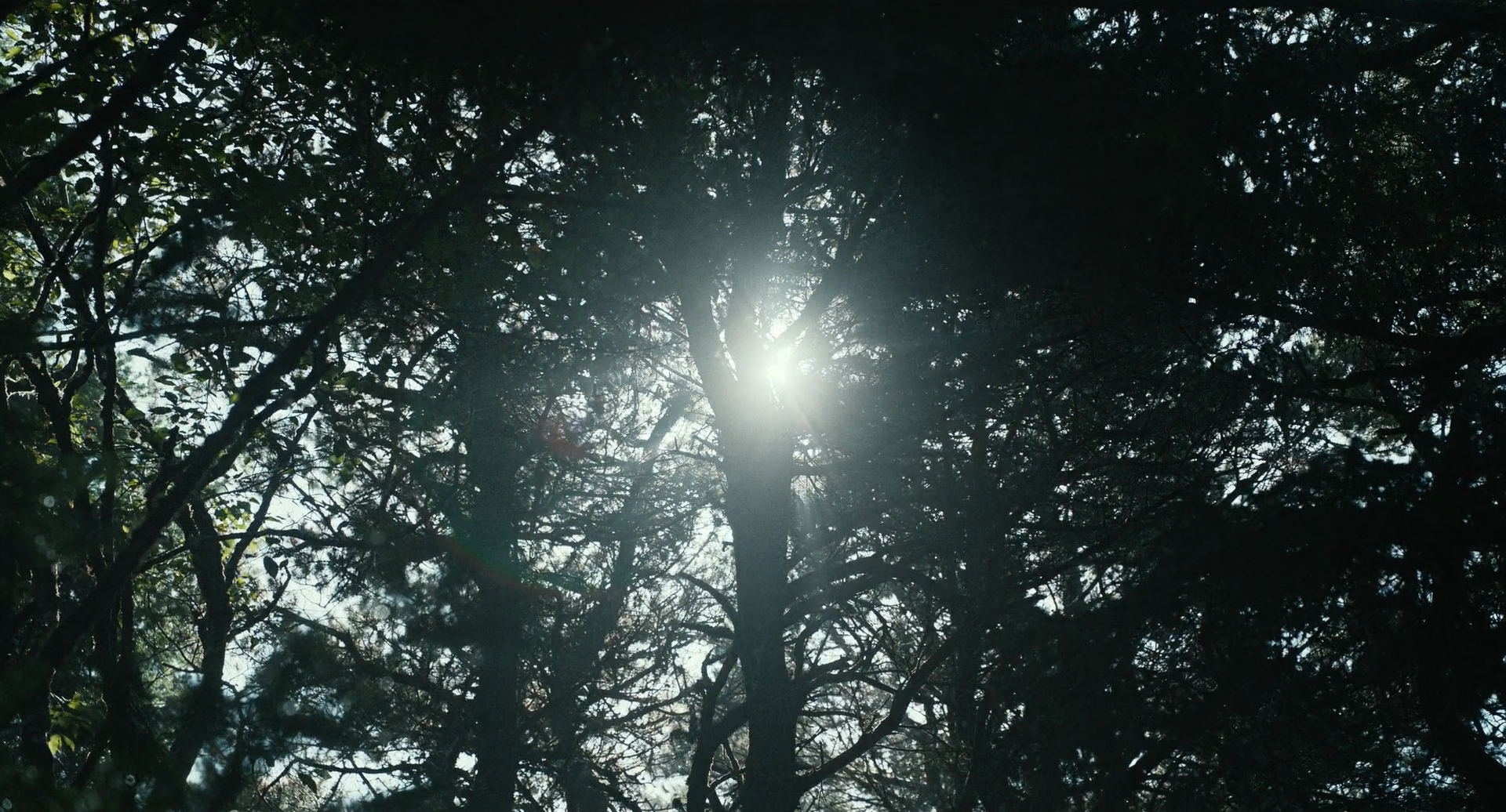 爱人剧照的剧照