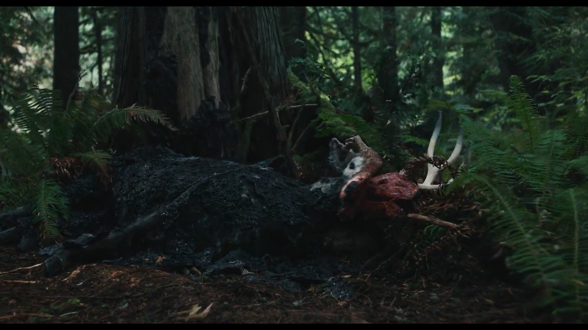 爱人剧照的剧照