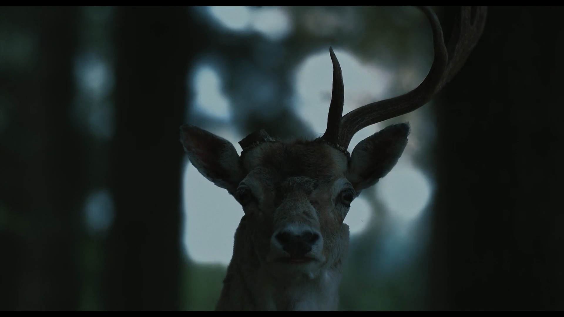 爱人剧照的剧照