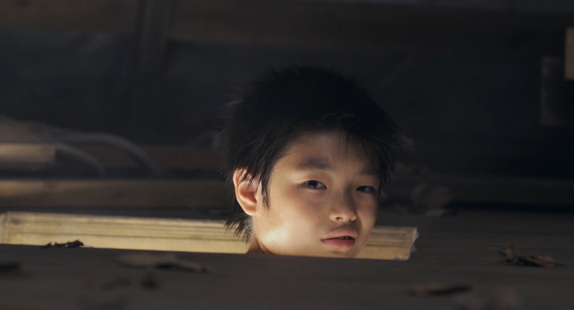 露草剧照的剧照