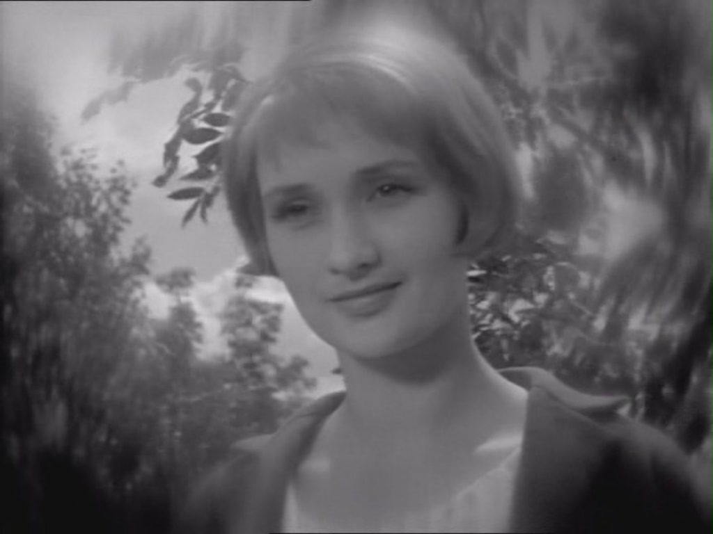 一个人的遭遇剧照的剧照