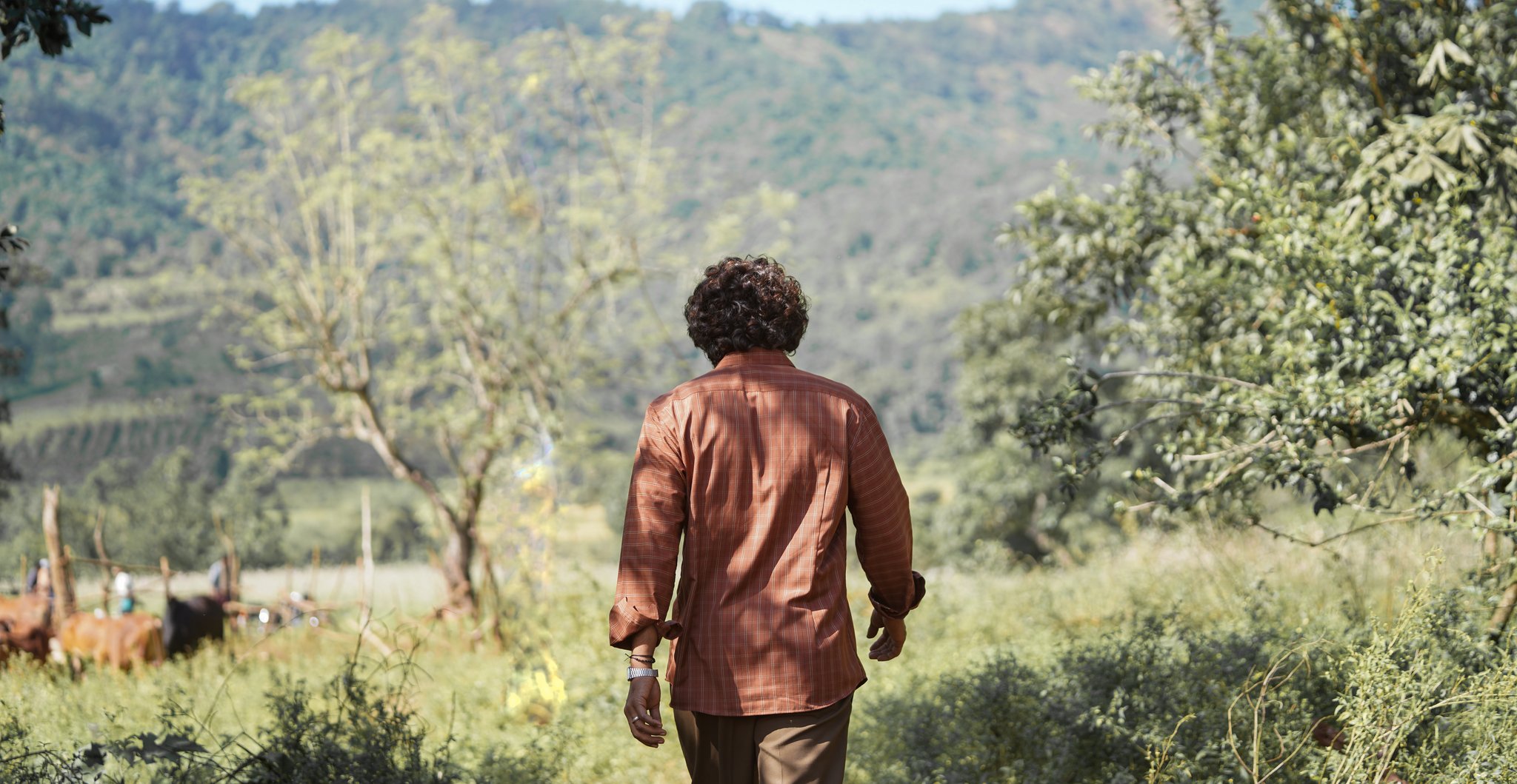 普什帕：崛起-第1部分剧照的剧照