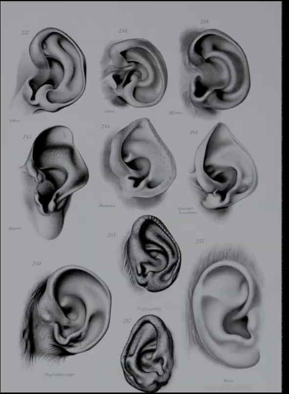 塔尔剧照的剧照