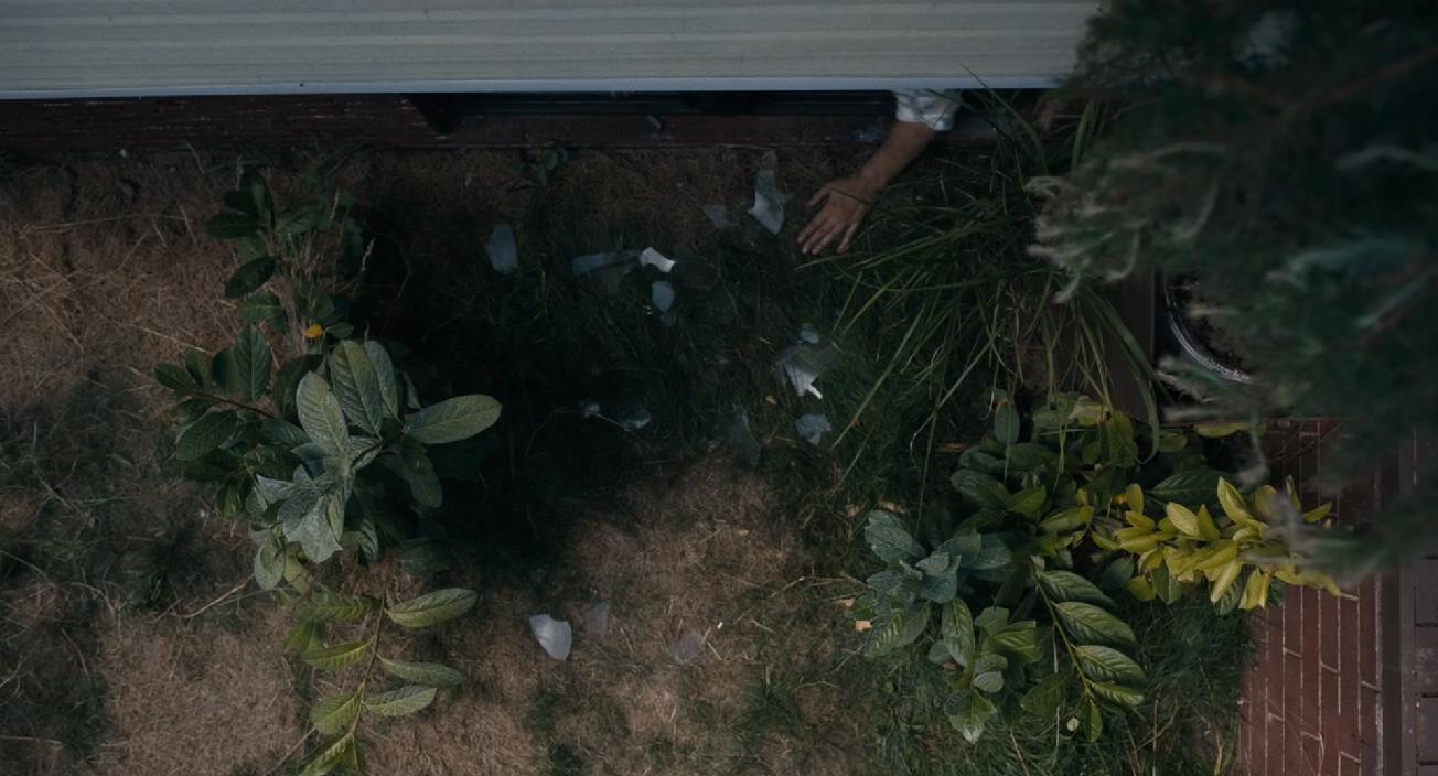 野蛮人剧照的剧照