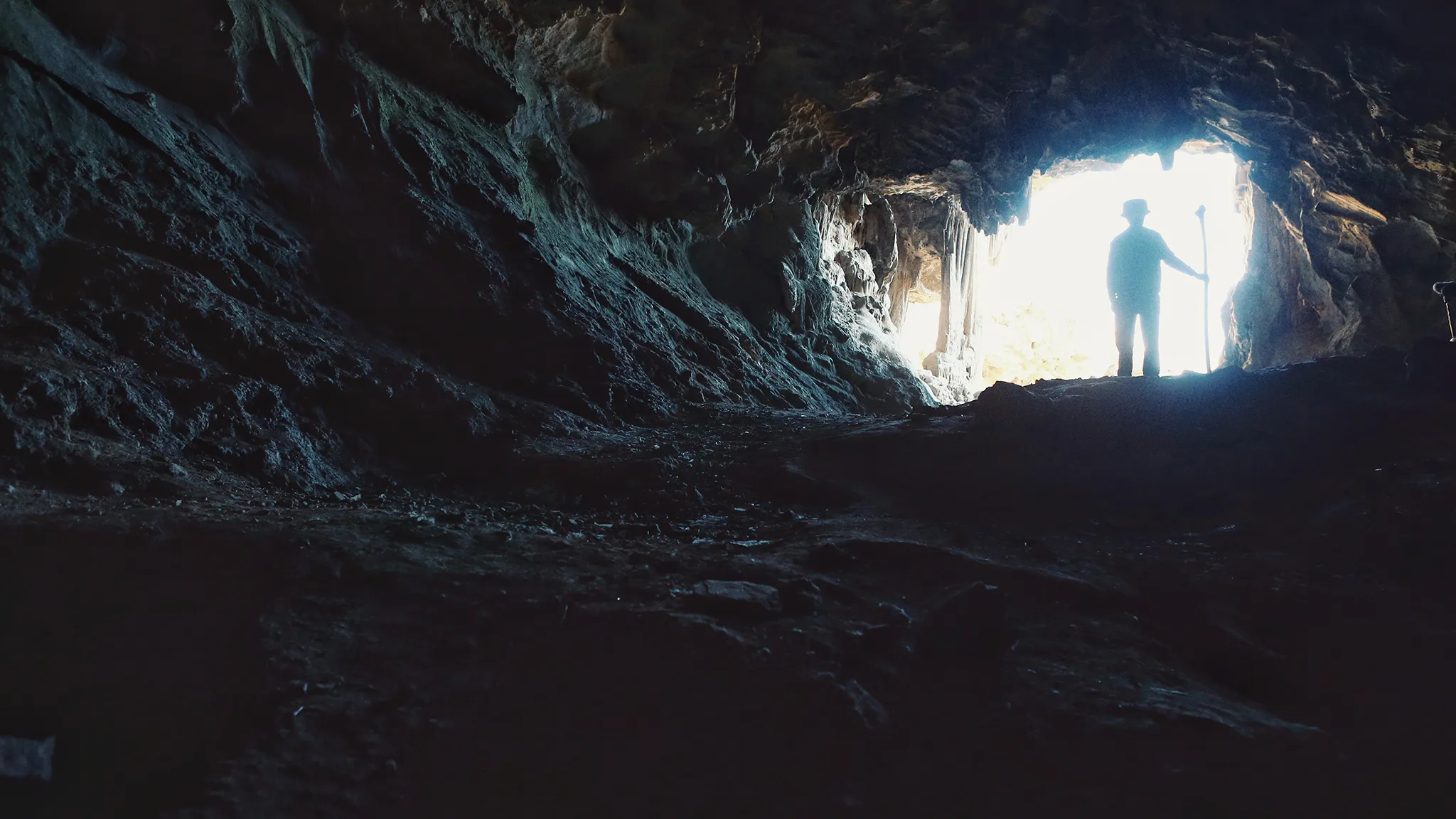 宇宙探索编辑部剧照的剧照