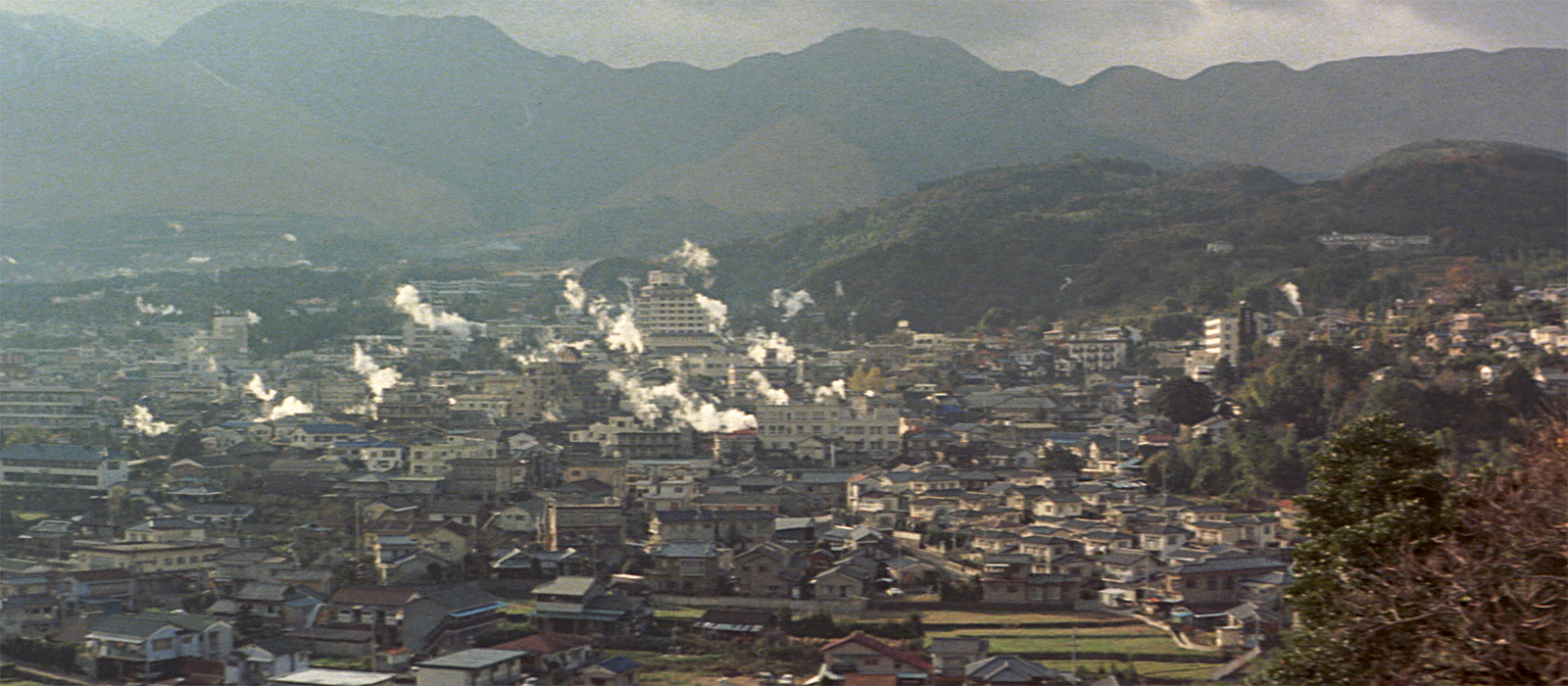 寅次郎的故事30：寅次郎落英缤纷剧照的剧照