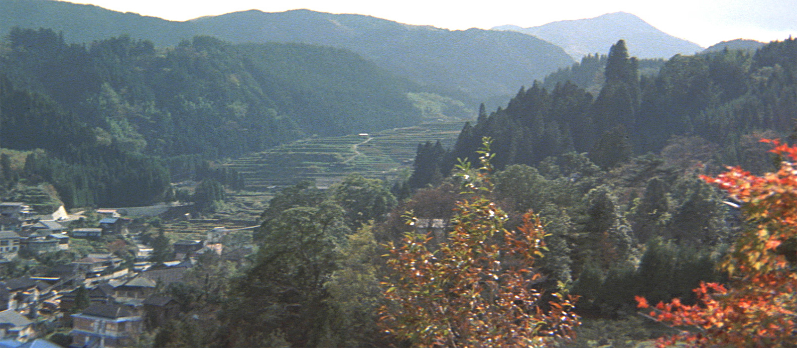 寅次郎的故事30：寅次郎落英缤纷剧照的剧照