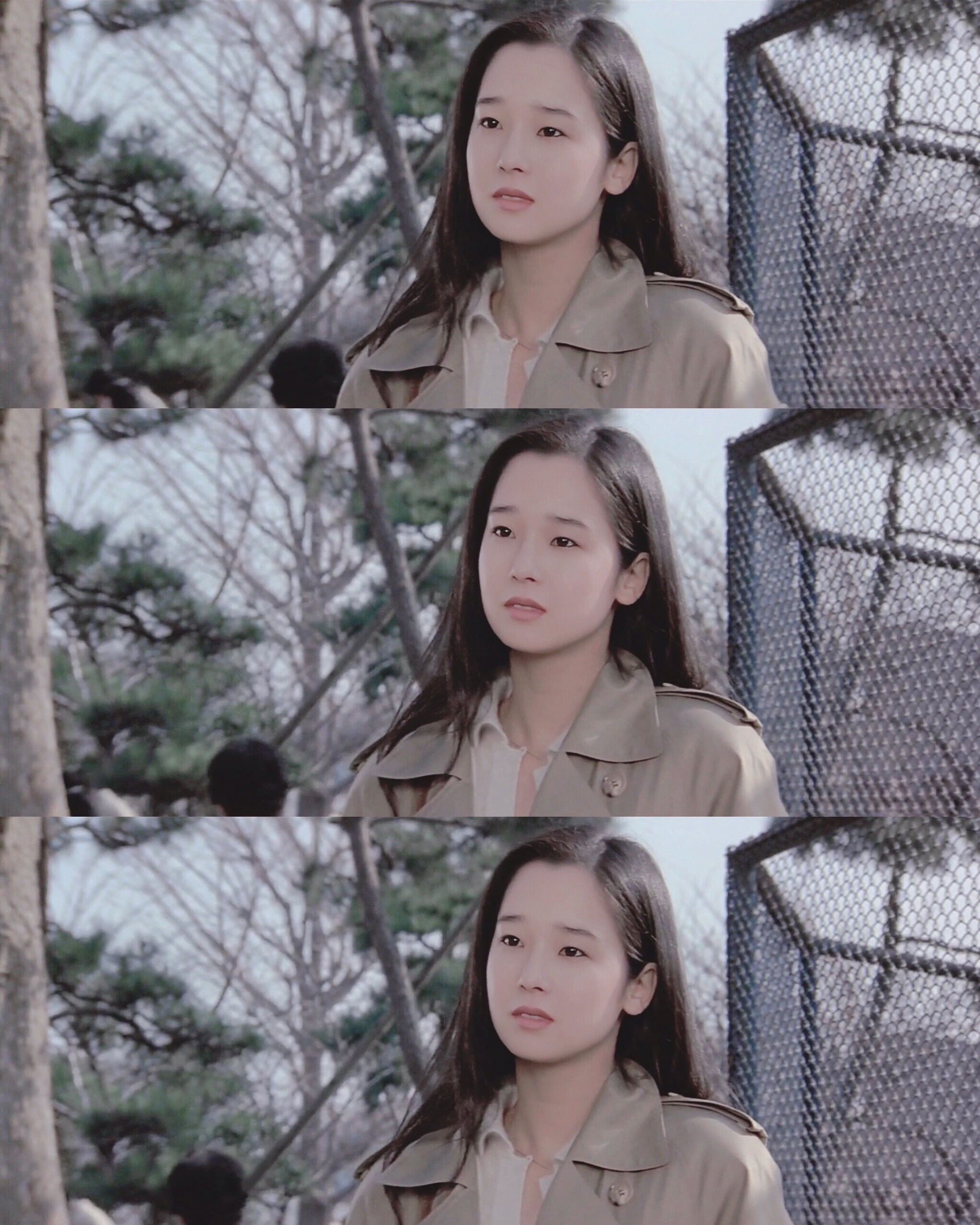 寅次郎的故事30：寅次郎落英缤纷剧照的剧照