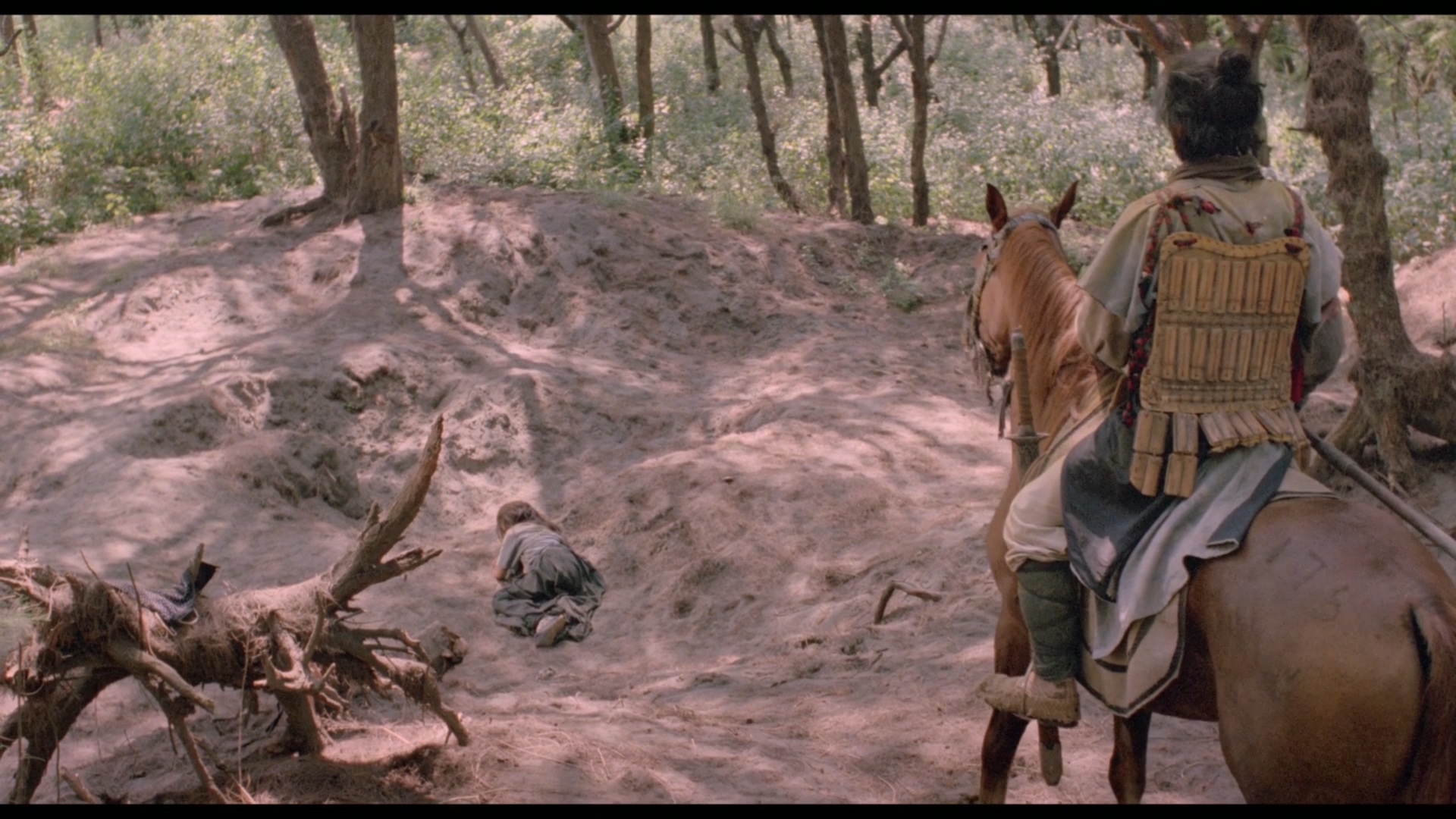 策马入林剧照的剧照