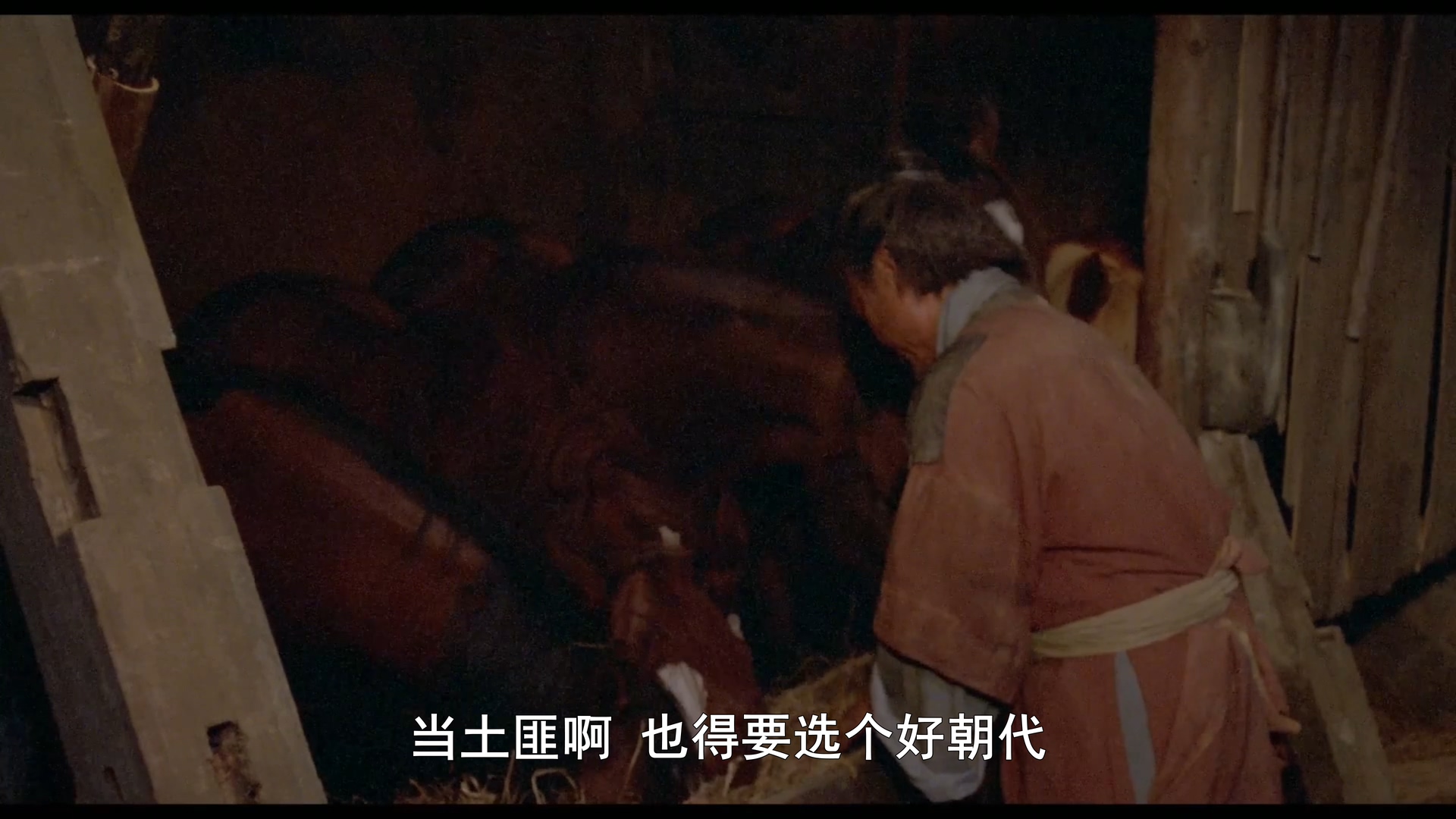 策马入林剧照的剧照