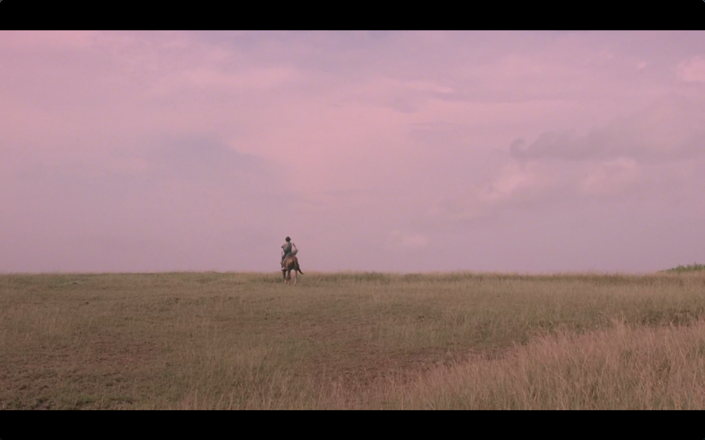 策马入林剧照的剧照