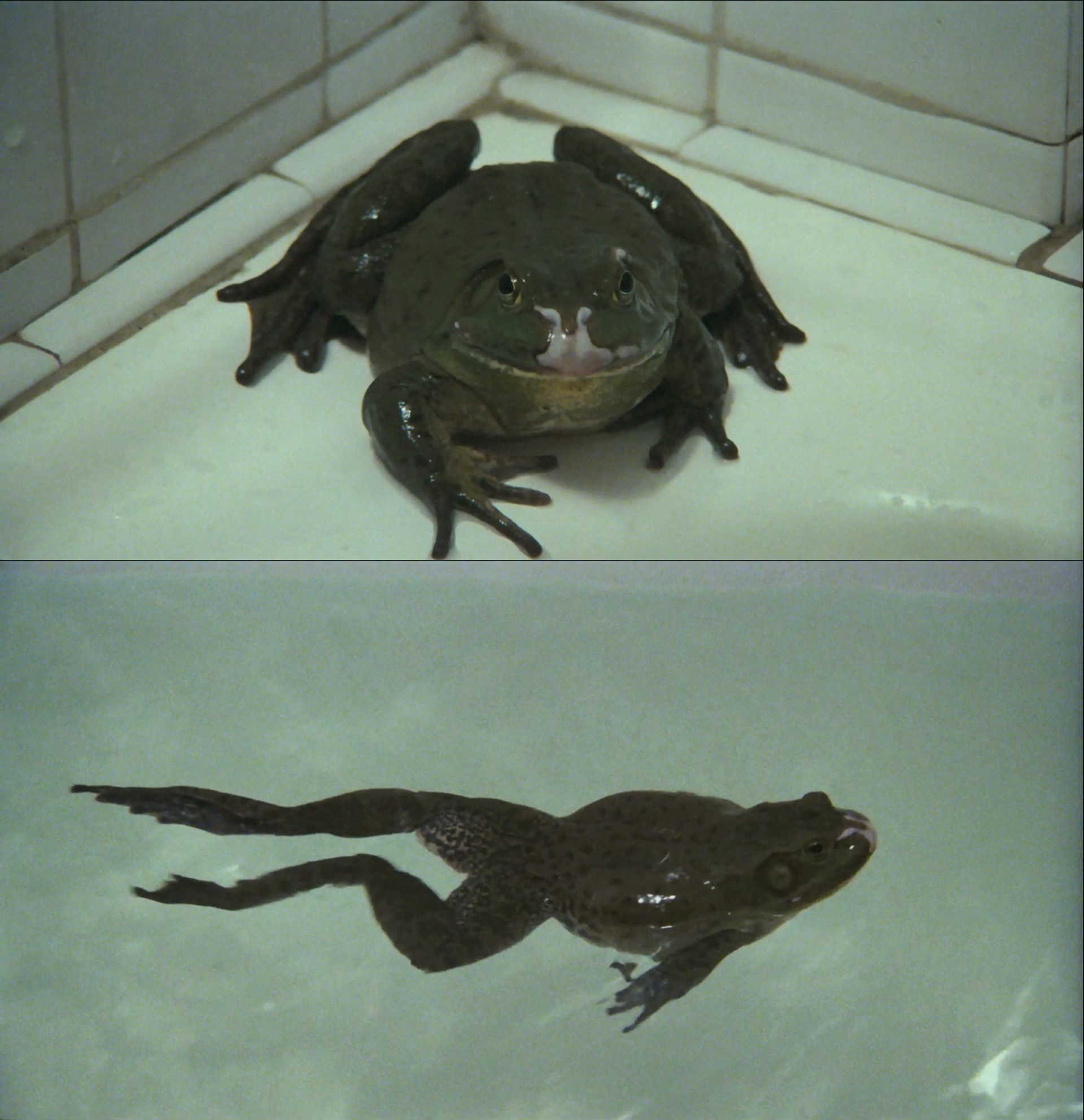 光阴的故事剧照的剧照