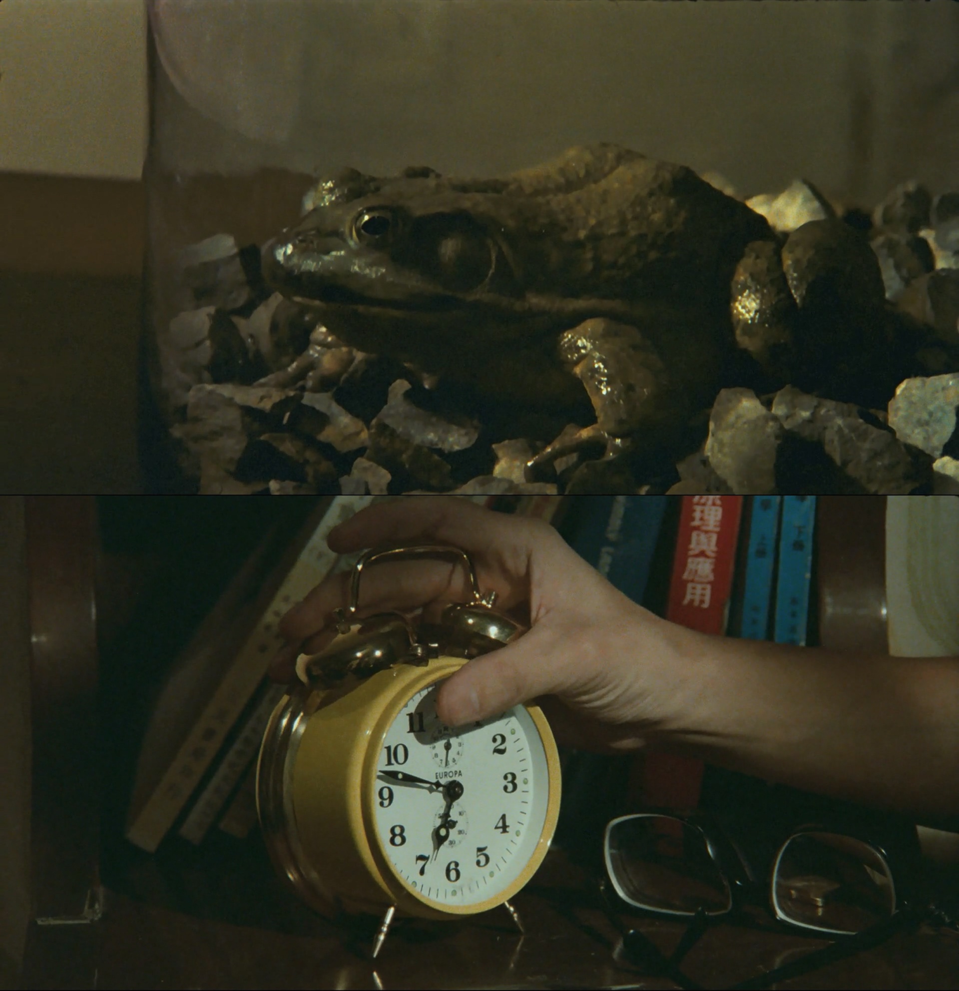 光阴的故事剧照的剧照