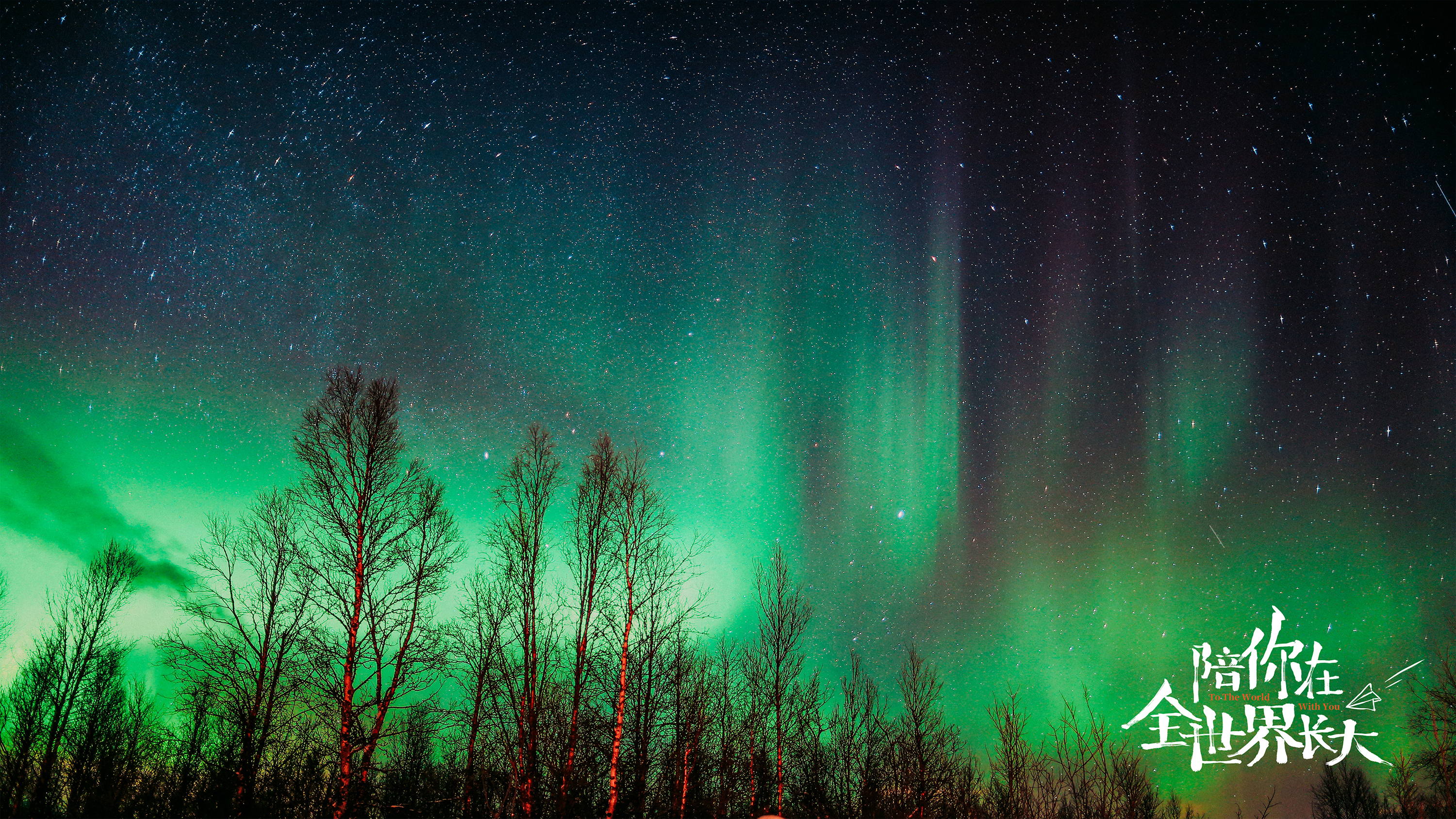 陪你在全世界长大剧照的剧照