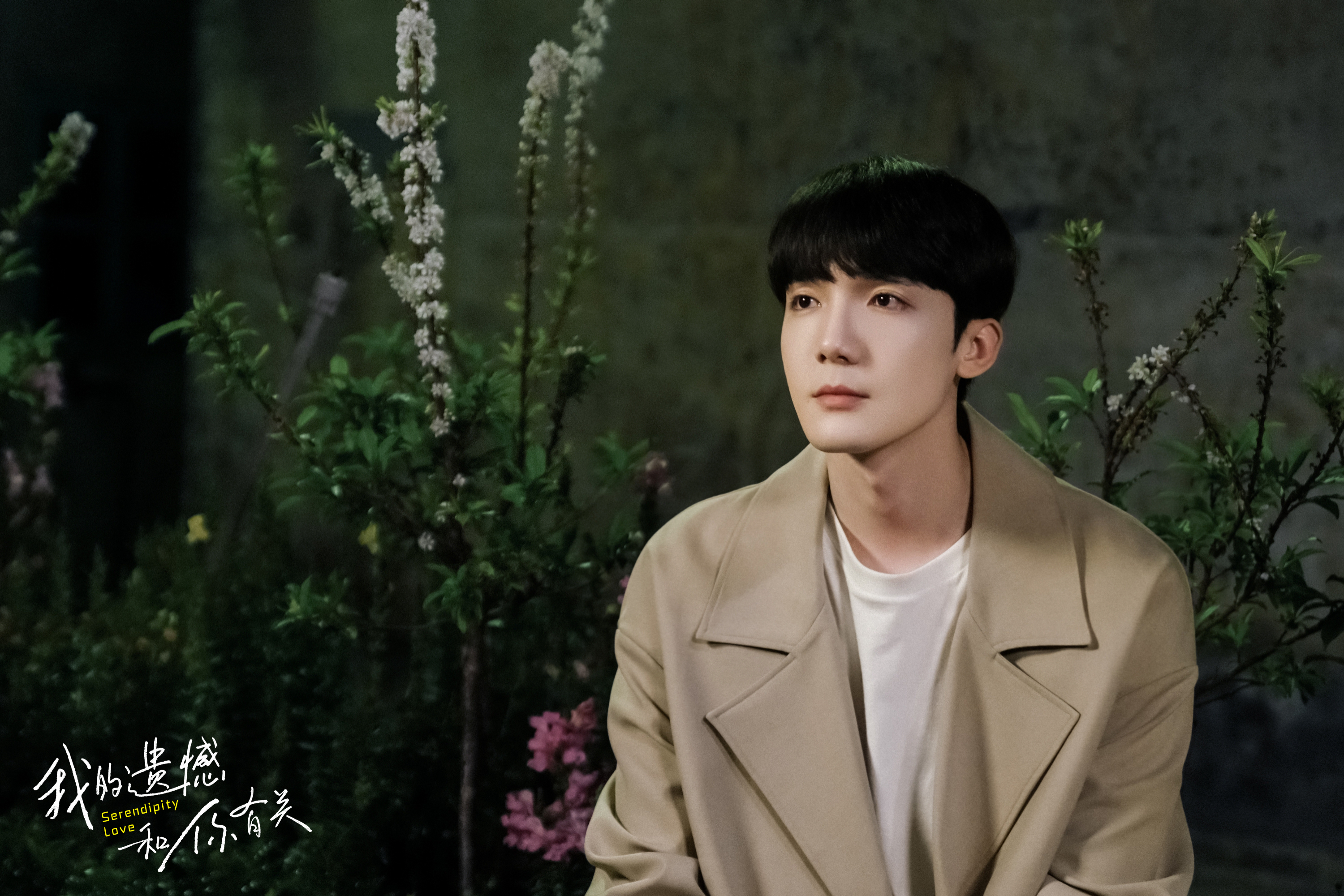 我的遗憾和你有关剧照的剧照