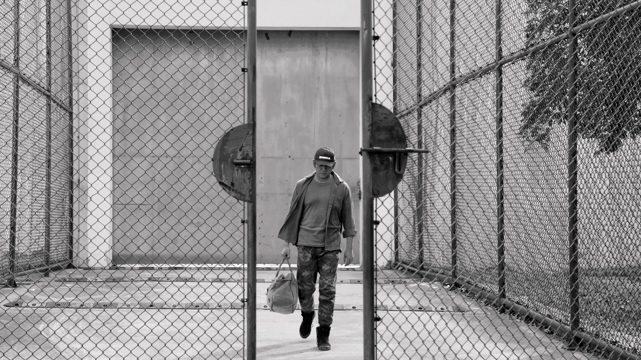 丹顶鹤剧照的剧照