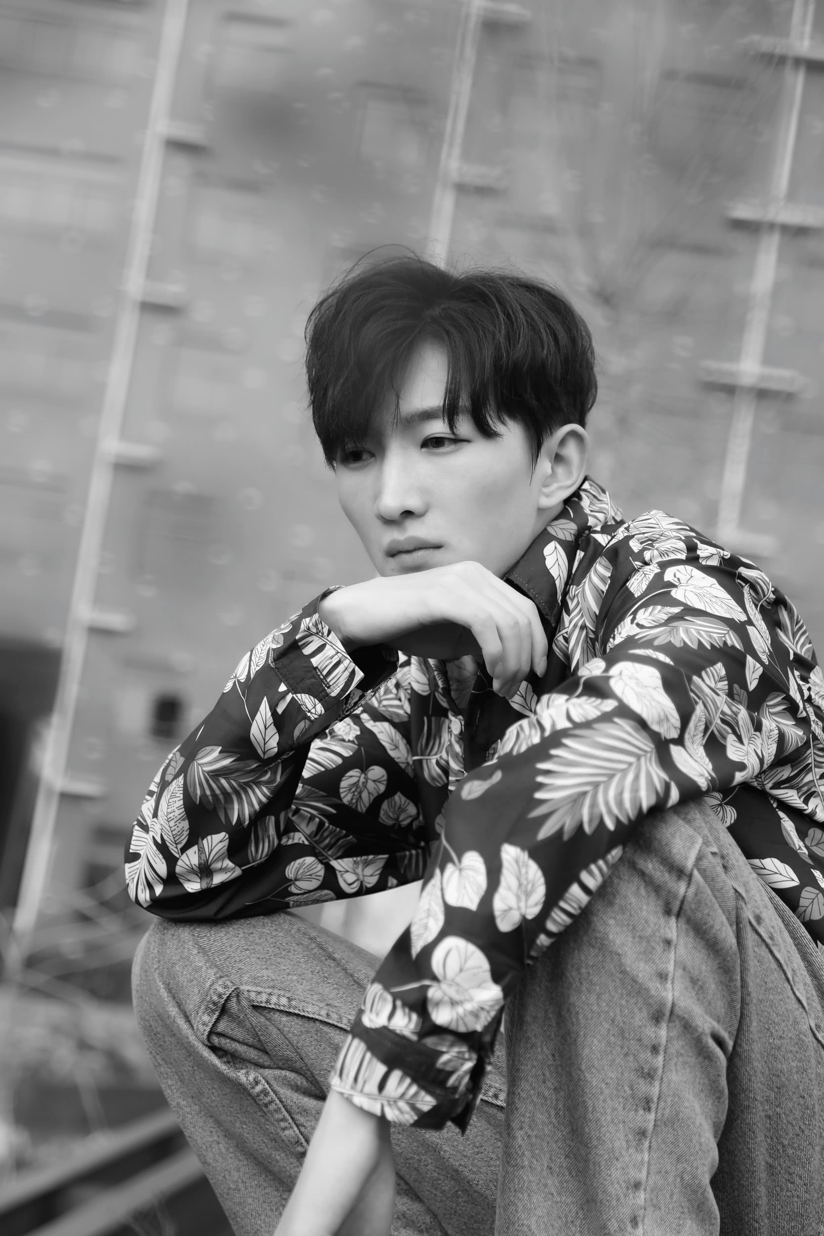 丹顶鹤剧照的剧照