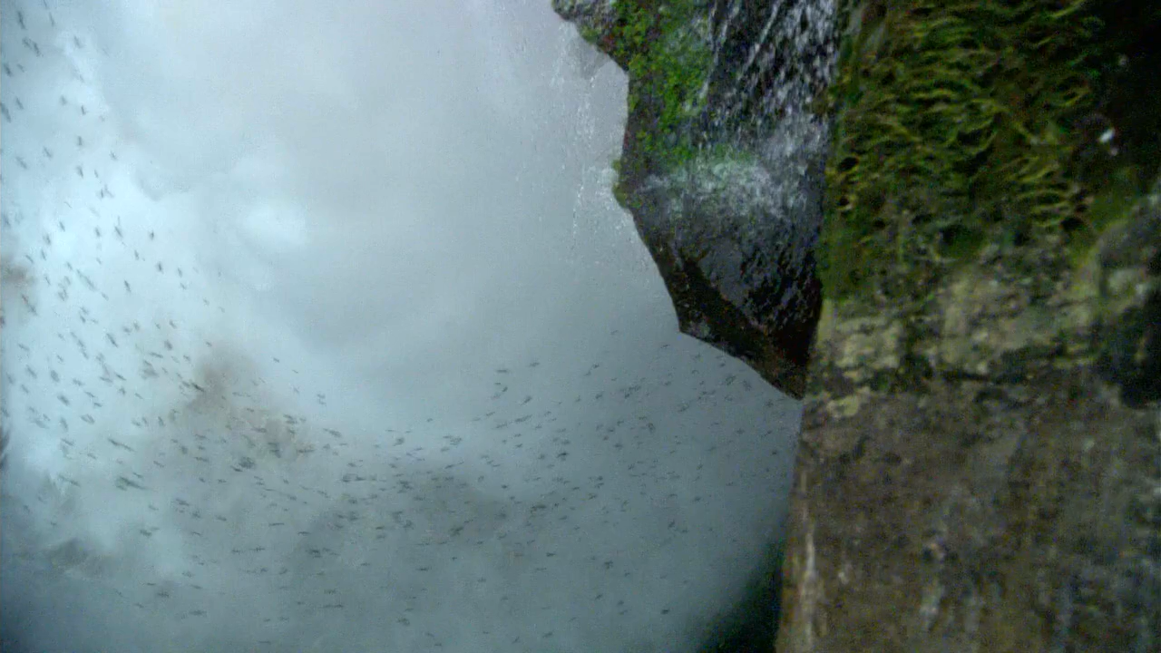 白钻石剧照的剧照