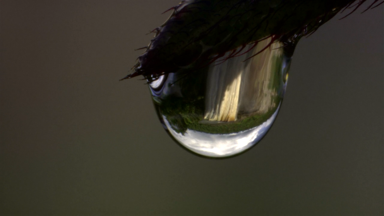 白钻石剧照的剧照