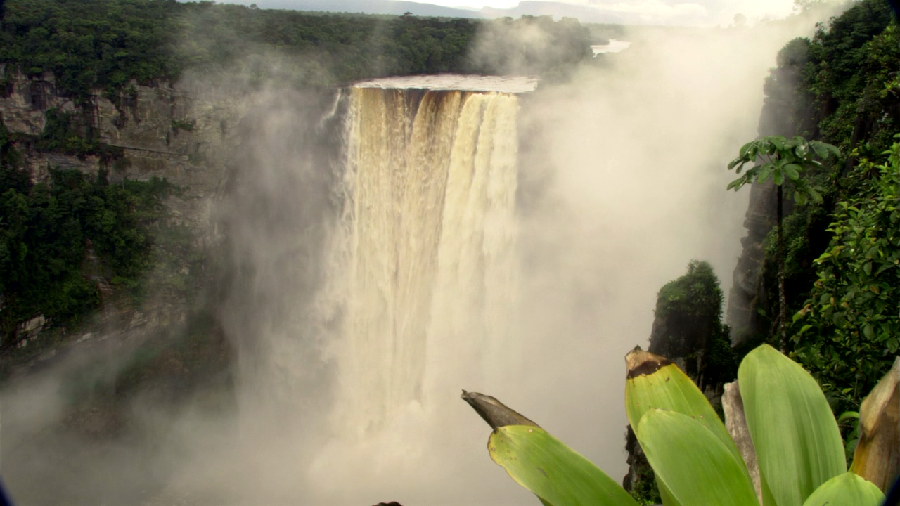 白钻石剧照的剧照