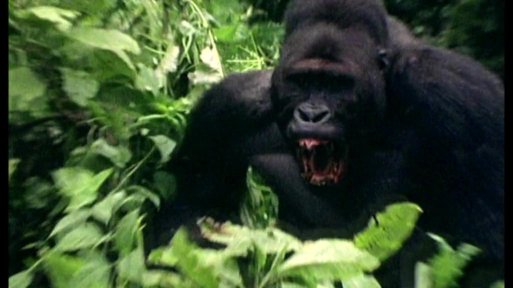 白钻石剧照的剧照